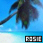 Pixelated beach scene with palm tree and blue sky, featuring 'ROSIE' text in black box at bottom center.