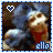 iconhell_bapity88_ello