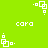 Green background with white pixelated text 'cara' and repeating white square-based symbols in four orientations.