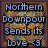 Pixelated text overlays on a colorful abstract background with brown borders, featuring phrases about Northern Downpour and Panic at the Disco.