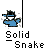 Pixel art buddy icon with blue and green figures, text "Solid Snake" below each figure, gray background.