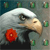 Animals icons for AIM, MSN, MySpace and Yahoo