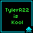 Four identical pixel-art display green text 'TylerR22 is Kool' on black backgrounds with cyan borders, each featuring a distinct blue pixelated alien icon at the bottom-right corner