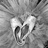 A grayscale animated icon shows two stylized teeth forming a heart shape with a dark interior, set against a textured background with the name 'justine' in pixelated text at the bottom.