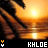 Sunset over water with palm trees, featuring a bright sun and reflection on the surface.