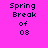 Four pixelated display "Spring Break of 08" text with varying background colors and font styles