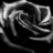 Black-and-white image of a rose with text reading 'Gone From This Earth But Not Gone... From Our Hearts.'