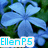 Blue flower with green foliage background; text "EllenP5" in cyan, purple, and pink colors across three