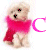 A small dog with light fur and red eyes wears a pink scarf, positioned next to large pink letters forming "CUTE" on a white background.