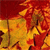 A static pixelated image of a stylized animal figure with a fiery orange and red color scheme against a dark red background.