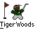 Pixelated cartoon character holding golf club next to flagstick with text promoting 'badassbuddy.com' and 'Tiger Woods' name.