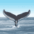 Animated sequence of a whale's tail fin breaching ocean surface, transitioning through multiple poses against blue sky and water background.