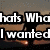 Pixelated text reads 'hats Who I wanted' over a brown and gray background with pixelated textures.
