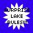 Four identical pixelated icons with white starburst shapes on blue backgrounds, each displaying black text reading SURPRISE LAKE RULES!!! in three lines.