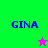 Four display 'GINA' text with a star icon; the top-left and bottom-right stars alternate between pink and green