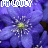 Four identical pixelated purple flowers with yellow centers arranged in a , each overlaid with white text reading "[HD Luoly]" in a blocky font
