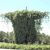 Pixelated static image of a large stone structure resembling a megalithic monument with a flat top and vertical stone face, set against a light sky and grassy terrain.