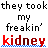 Pixelated text reads 'they took my freakin' kidney' with red lowercase letters on bottom, blue checkered base line.