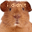 Brown guinea pig with pixelated text above its head, showing three distinct text states across observations.