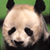 Static pixelated image of a panda's face with black ears, eye patches, and nose against green background.