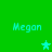 Green background with four cyan 'Megan' text labels and three cyan stars in a
