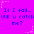 Purple background with blue text repeating 'If I fall... Will u catch me?' and white star-shaped icons scattered throughout.