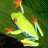 Pixelated green frog with orange accents on limbs and eyes, positioned against a dark green background with text reading 'Original Icons .com' in bright green.