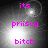 Pixelated grayscale background with bright light source shifts and pink text 'its', 'priiscy', 'bitch' in fixed positions across four views.