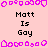 Pixelated icon with pink background and purple border, displaying repeated text "Matt Is Gay" in black font across multiple