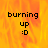 A pixelated icon with a fiery orange-yellow background displaying 'burning up :D' text in black, featuring two identical frames and one frame with a gray overlay.