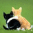 Two cats sit on grass, one black and white facing away, the other orange with back turned; a blue shows text 'Arielle + Bocco K. = 3F4I' in pixelated font