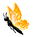 A pixelated insect with black body and orange wings in four sequential poses showing wing and body rotation against gray background.