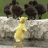 A yellow duckling walks left to right across a stone wall with dark trees in the background, while three black text boxes on a yellow display 'Odd', 'Odd', and 'Out' sequentially