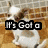 A white dog with brown patches sits on a brick background, displaying text and a heart symbol