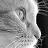 A low-resolution grayscale static icon with a pixelated figure and partial background elements, likely intended as an AOL Instant Messenger buddy icon.