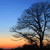 Pixelated landscape showing a tree silhouette against a gradient sky transitioning from orange to blue.