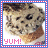 iconhell_ice cream.A