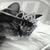 A black-and-white animated buddy icon featuring a kitten on the left and pixelated text reading "PRETTY KITTY" on the right, displayed as a contact sheet with two frames.