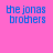 Blue pixelated text reading 'the jonas brothers' on a solid pink background.