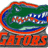 Green alligator head with red outline and blue accents, mouth open showing white teeth, orange text below reading 'GATORS' in block letters.