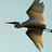Flickr: The Help Forum: Can't see any images (China June 7th 12.30pm) 中国－看不见图片
