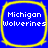 Four identical blue square icons with rounded corners, each bordered by a yellow outline and displaying "Michigan Wolverines" in white pixelated text.