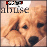 Golden retriever puppy with light brown fur, black nose, and dark eyes resting on a beige surface; text overlays read "HELP STOP ANIMAL ABUSE" in red and gray.