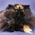 A pixelated cat with dark fur and green eyes sits against a light blue background, its head slightly tilted.