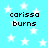 Light blue background with white stars and repeated text 'carissa burns' in black pixelated font.