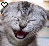 A pixelated cat face with closed eyes and an open mouth, featuring a heart symbol that changes from white outline to solid black.