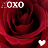 A 4-frame animated contact sheet of red roses with XOXO text and white hearts, arranged in a 2x2 grid on a gray background.
