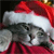 Static pixelated image of a cat wearing a Santa hat with red and white colors, set against a dark background.