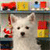 A white dog with dark eyes and nose appears centered in a pixelated image, surrounded by colorful blocky shapes in red, yellow, and blue.