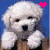A pixelated white dog with black eyes and nose sits against a blue background, holding up one paw; the heart above its head changes from pink to cyan.